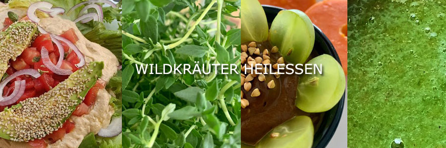 Wildkräuter Zubereitung - Kochkurse