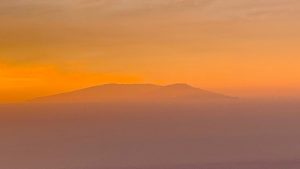 Krankheit die Sprache der Seele